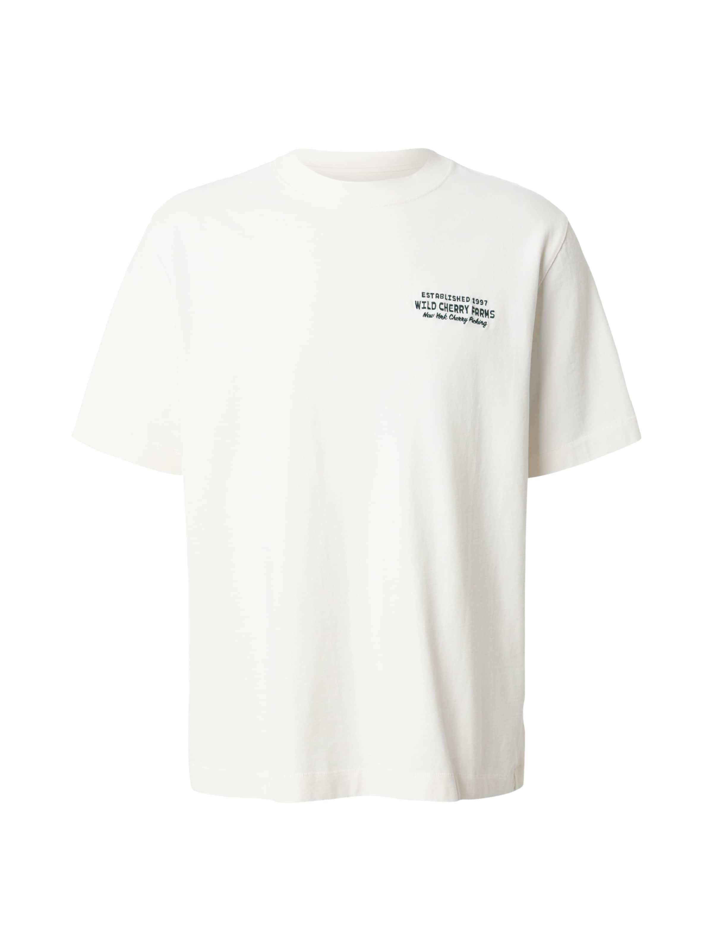 Abercrombie & Fitch Shirt in White: front