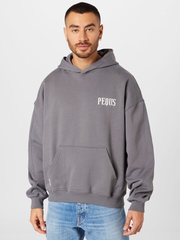 Pequs Sweatshirt in Grau: predná strana