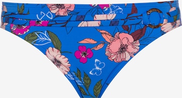 s.Oliver Dół bikini w kolorze niebieski: przód
