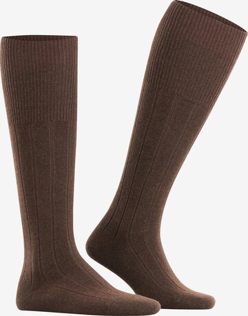 FALKE Knee High Socks 'Lhasa Rib' in Brown: front