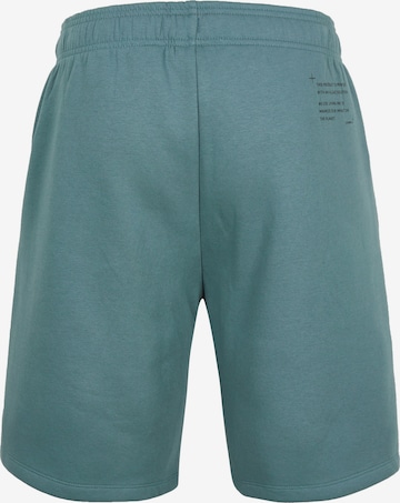 O'NEILL Regular Boardshorts 'Future Surf' in Blau