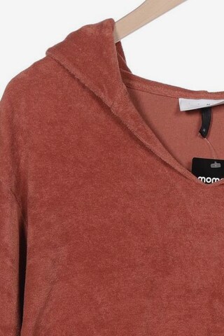 mazine Sweatshirt & Zip-Up Hoodie in M in Brown