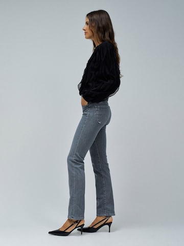 Salsa Jeans Skinny Jeans Secret in Grau