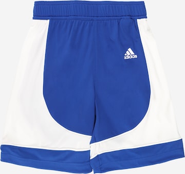 ADIDAS PERFORMANCE Loosefit Sportbroek in Blauw: voorkant