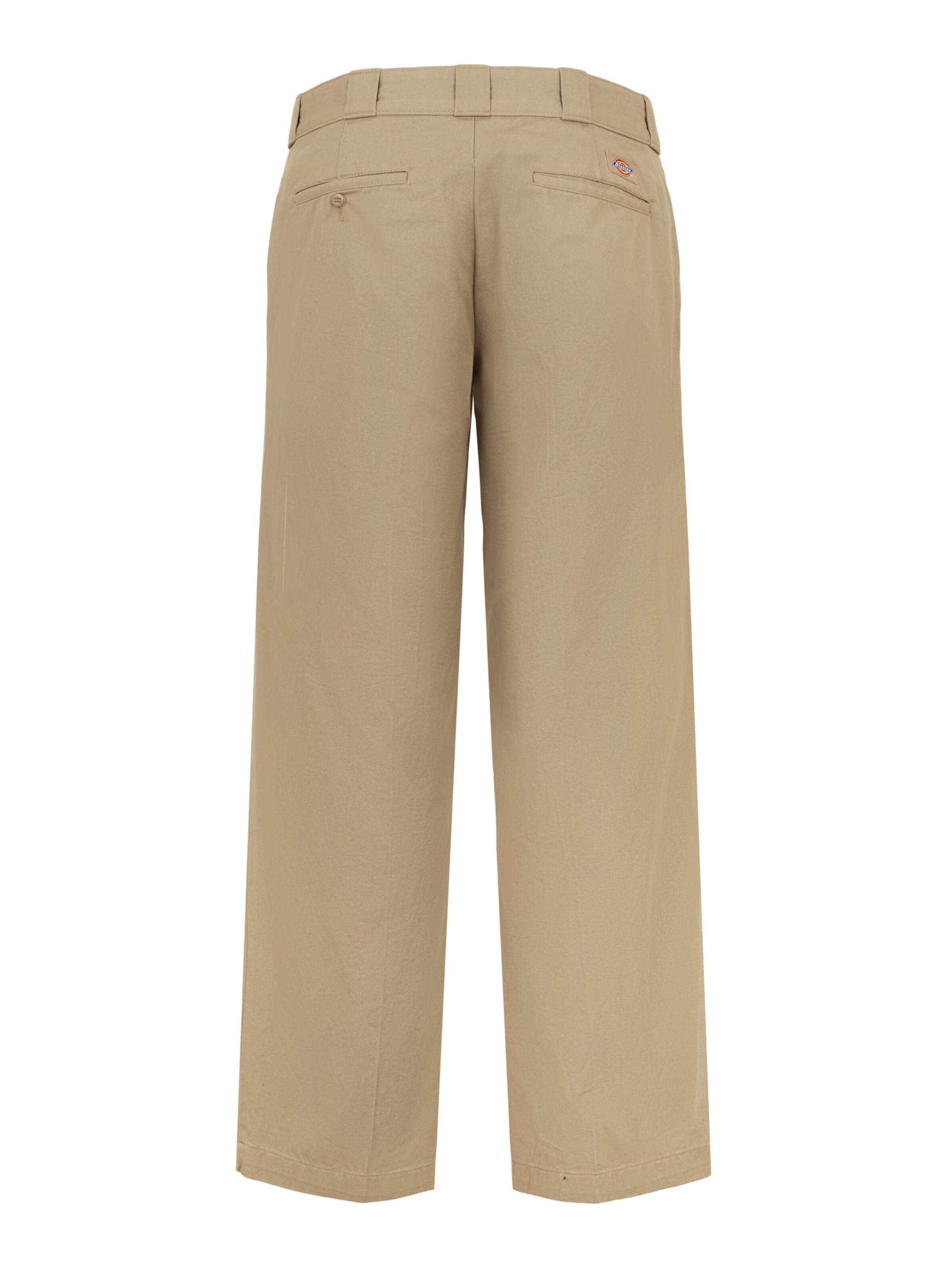 DICKIES Loose fit Chino Pants in Brown