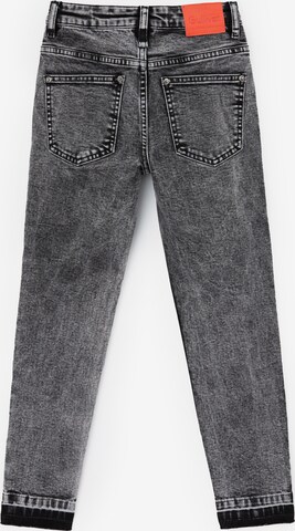 Gulliver Regular Jeans in Grey