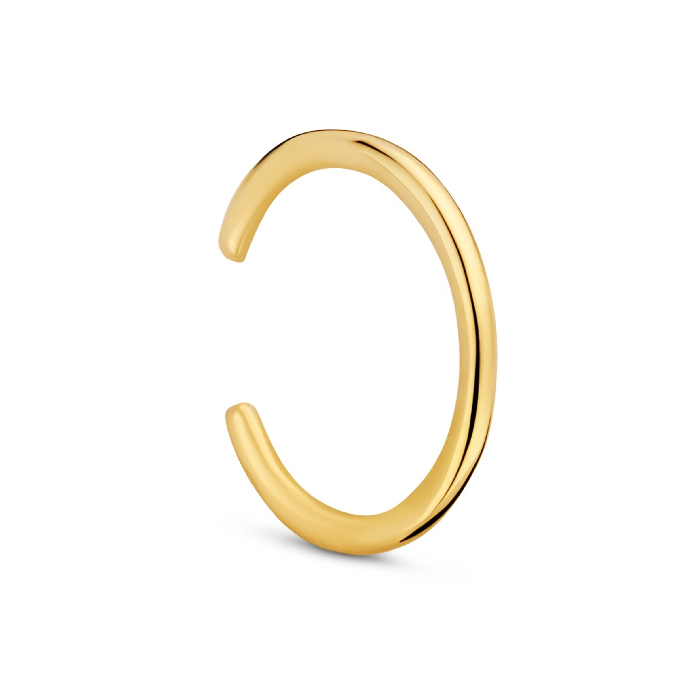 Beloro Jewels Earrings in Gold: front