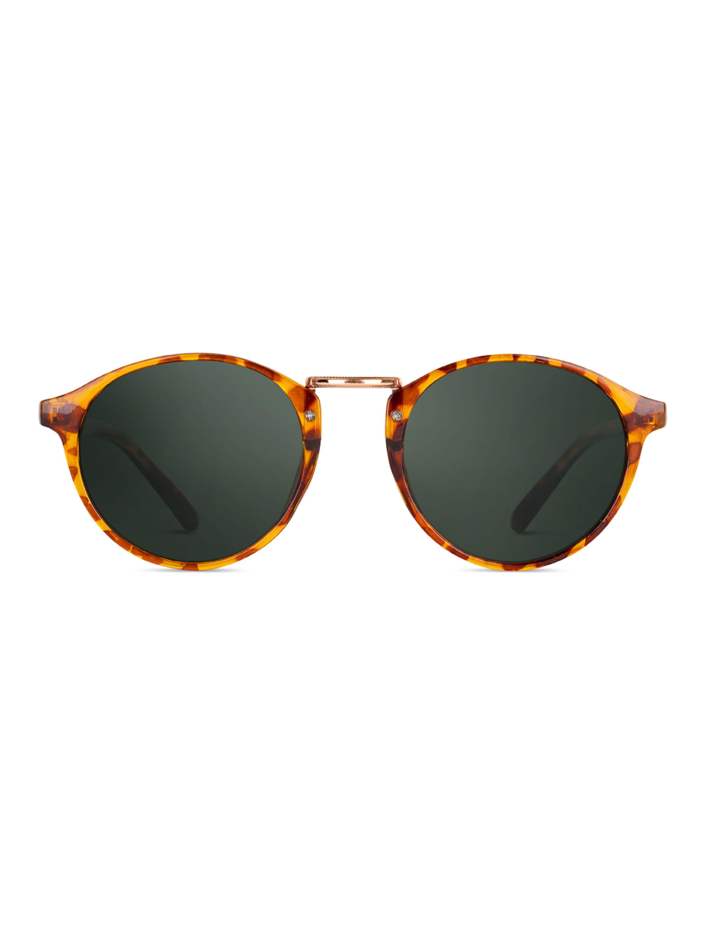 TWIG Concept Milano - Gafas de sol 'Picasso' en marrón: frente