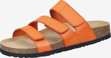 DR. BRINKMANN Mules 'Pantoletten XALO' in Orange: front