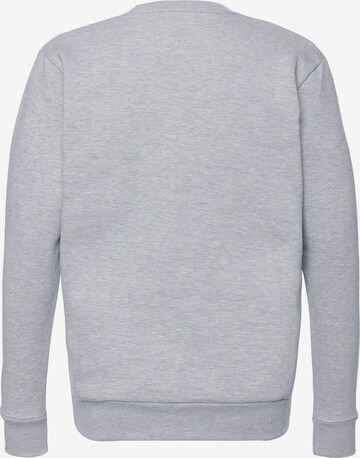 Mikon Sweatshirt in Grau