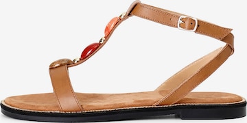 Sandalo di CAFè NOIR in marrone: frontale