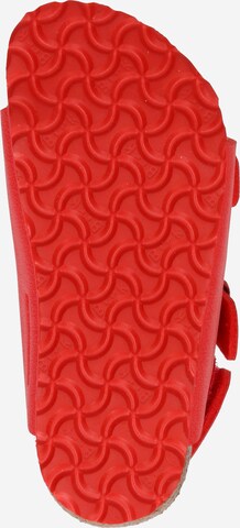 BIRKENSTOCK Sandale 'Milano' in Rot