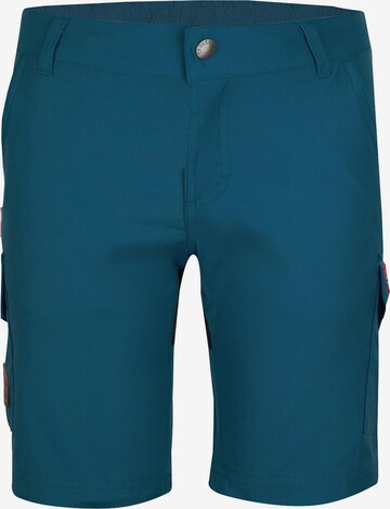 TROLLKIDS Regular Workout Pants 'Hammerfest' in Blue: front
