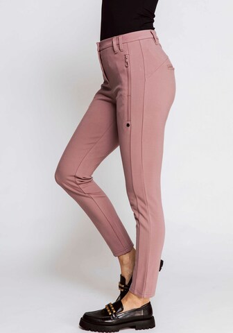 Zhrill Regular Pants in Pink