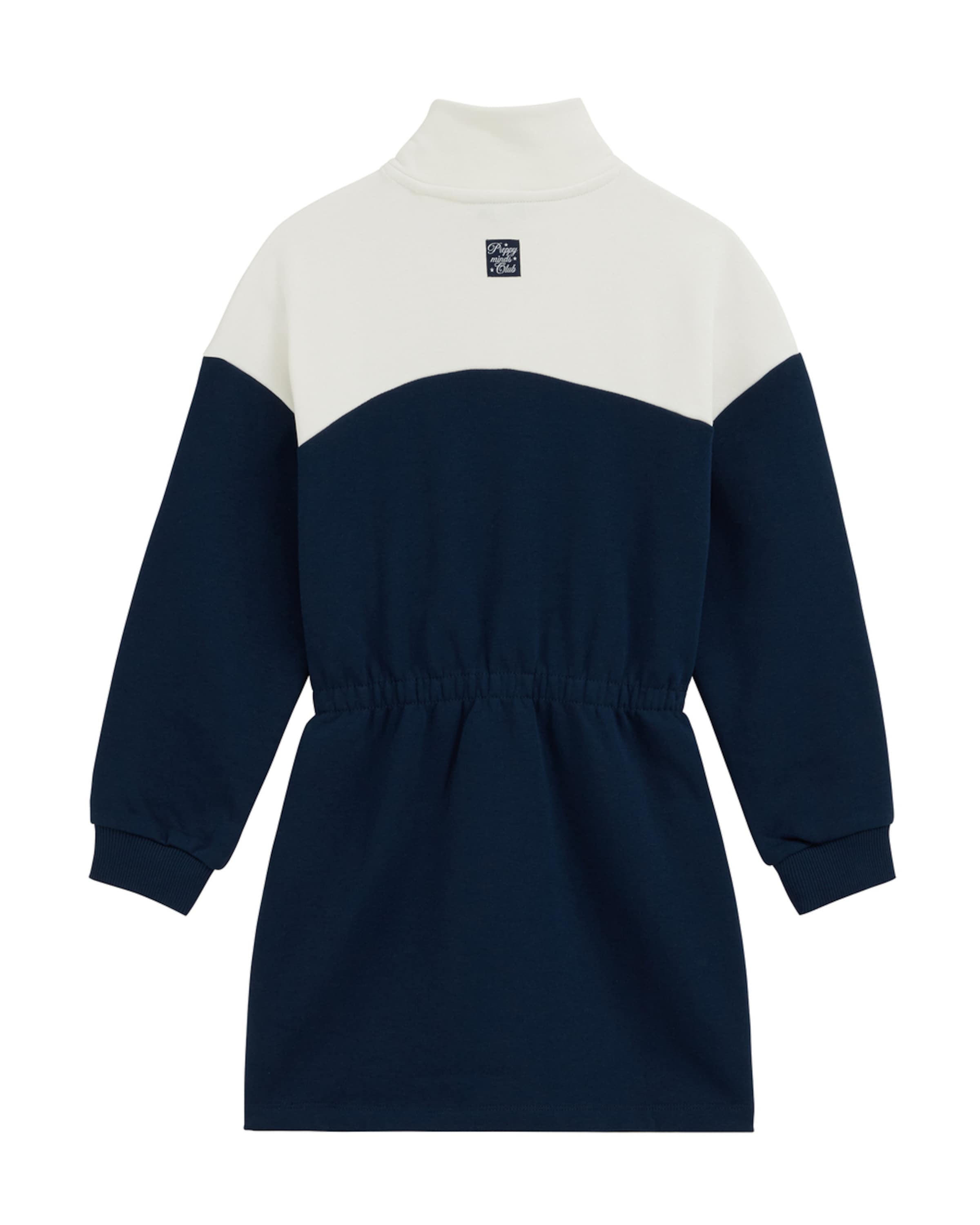 WE Fashion Jurk in Blauw