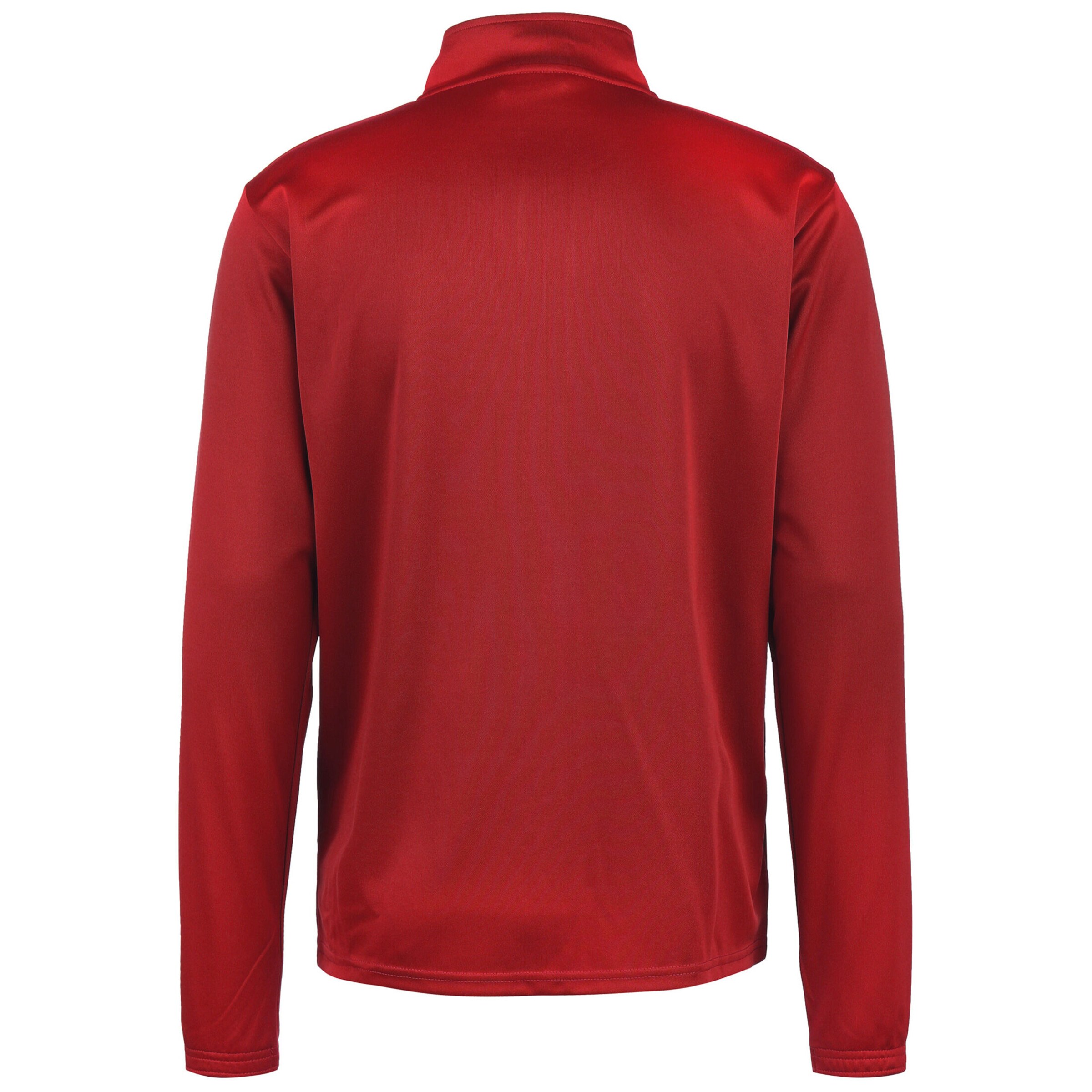 PUMA Training jacket 'TeamRise' in Red