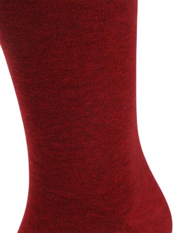Suitable Socken‌‌‌‌‌‌‌‌ in Rot