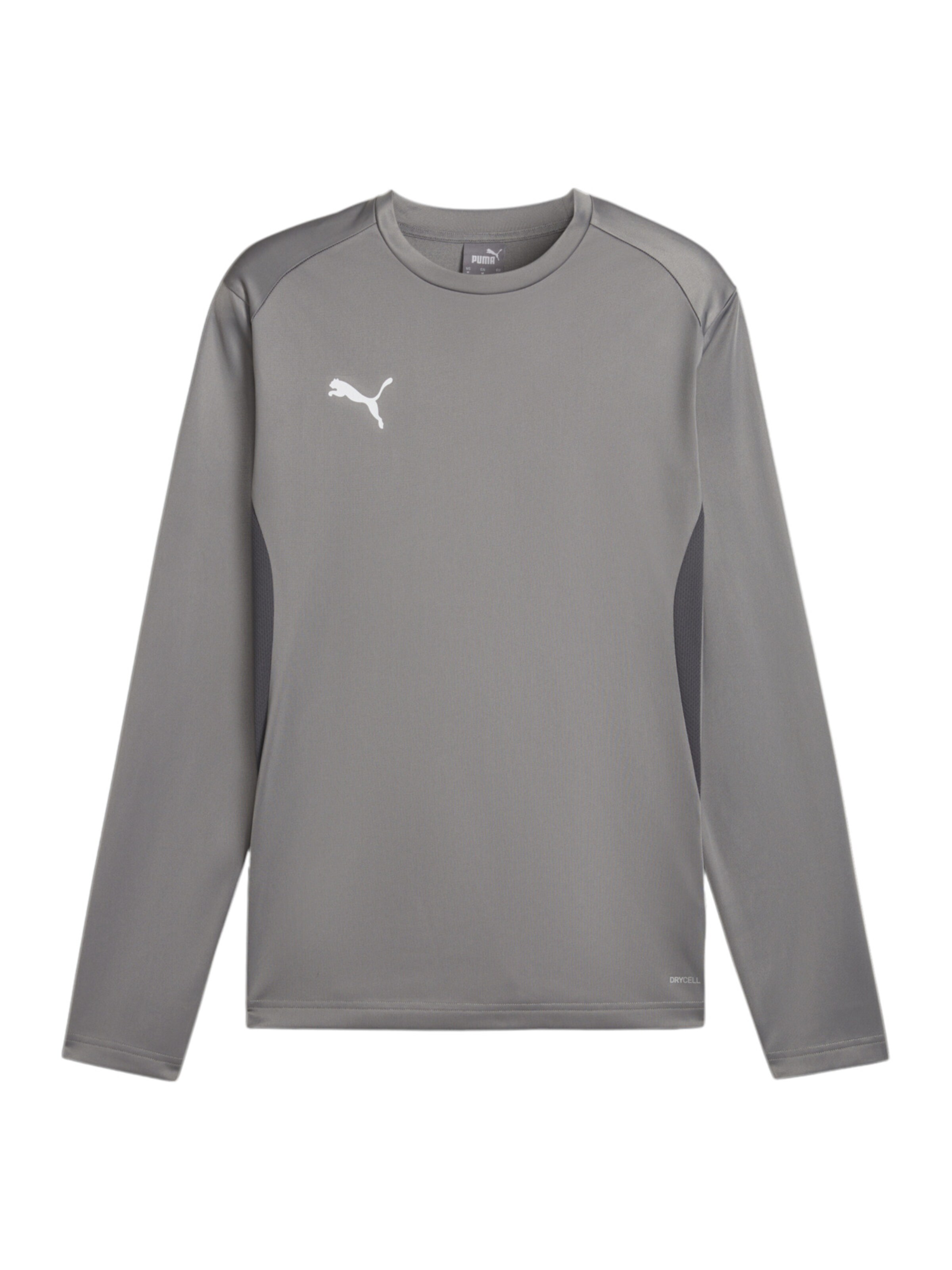 PUMA Sportsweatshirt 'TeamGoal' in Grau: Vorderseite