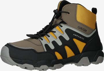 GEOX Boots in Mixed colors: front