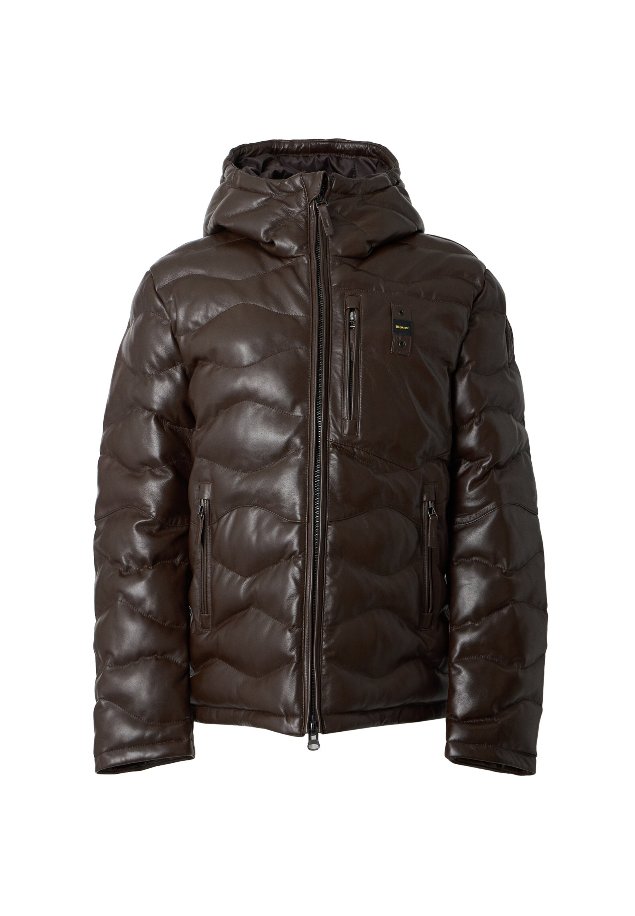 Blauer.USA Winter jacket in Brown: front