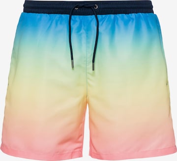 MAUI WOWIE Board Shorts in Mixed colors: front