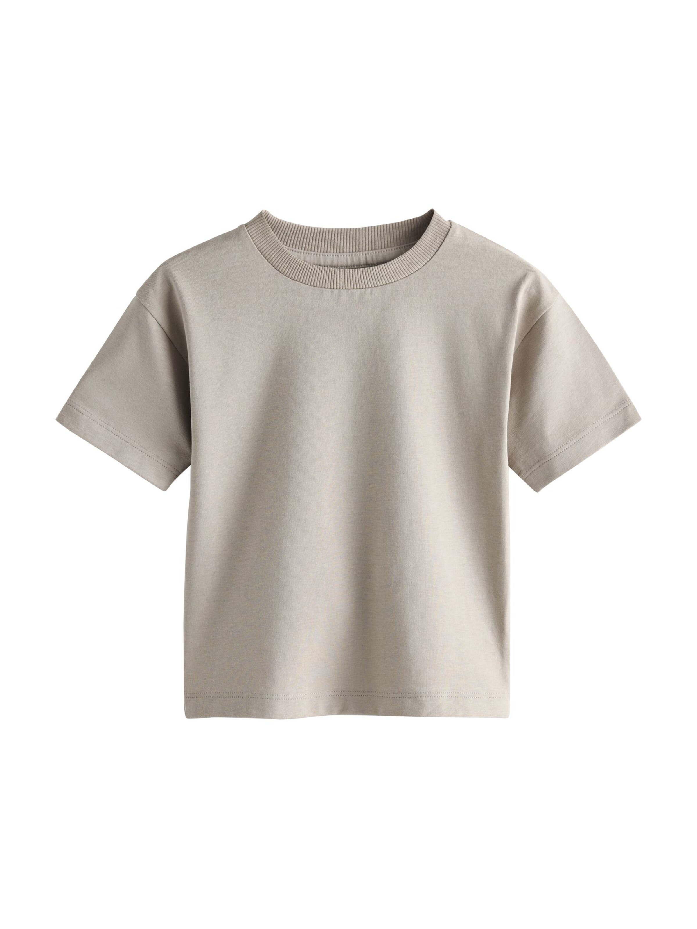 Next Shirt in Mischfarben