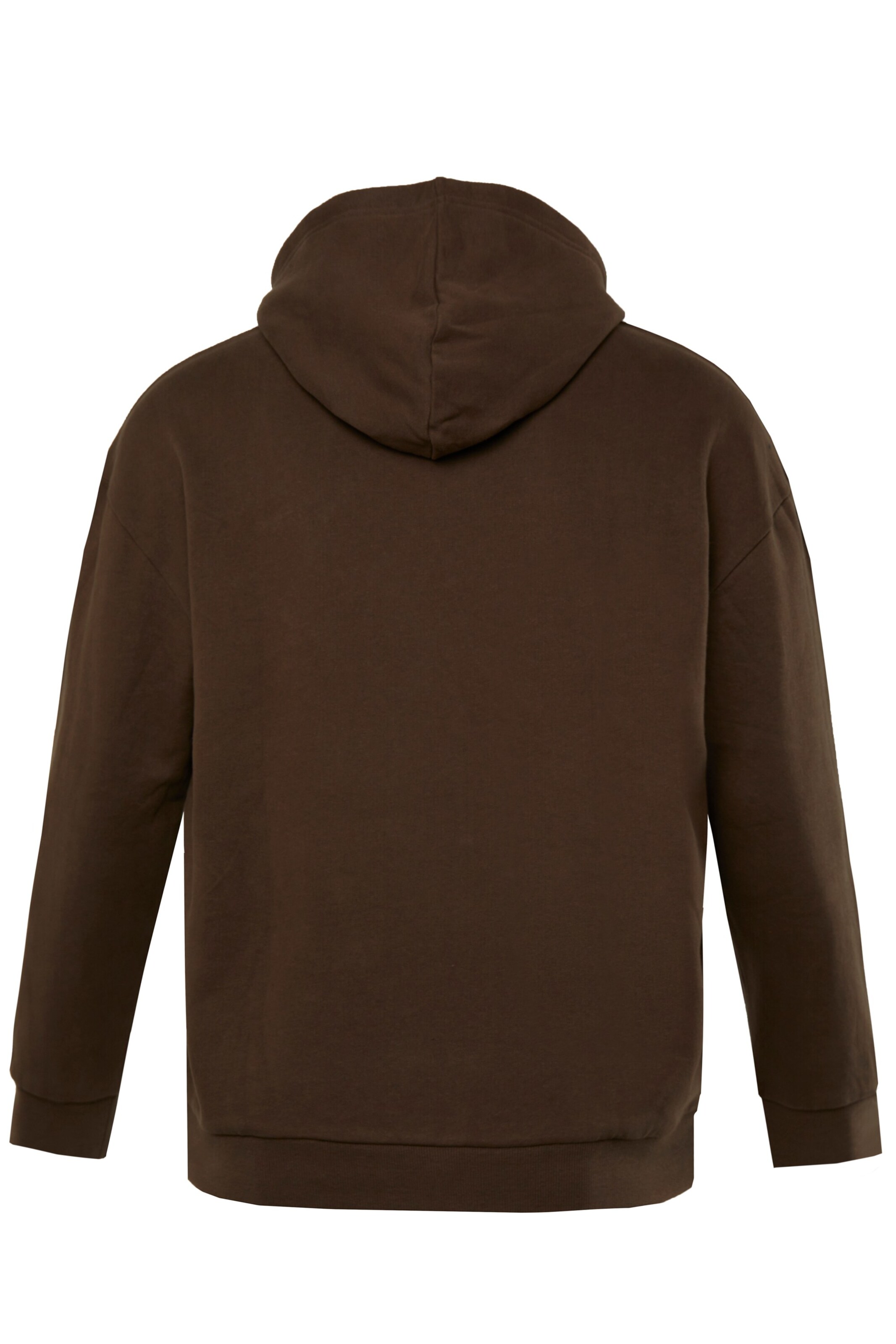 STHUGE Sweatshirt in Brown