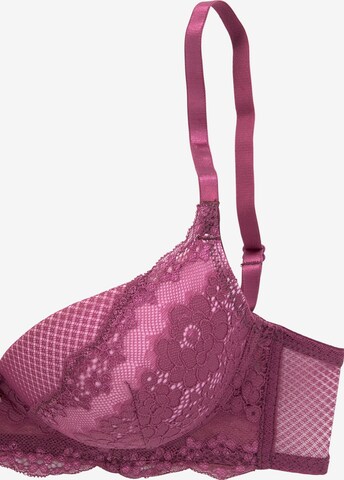s.Oliver Push-up BH in Lila