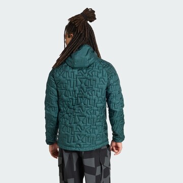 Veste outdoor 'Xperior' ADIDAS TERREX en vert