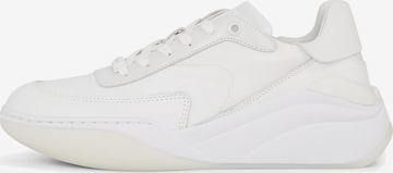 Baskets basses Calvin Klein en blanc : devant