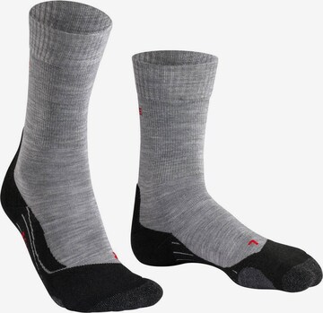 FALKE Sports socks in Grey