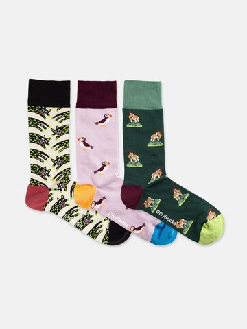 DillySocks Socken 'Cat & Puffin & Capricorn' in Mischfarben