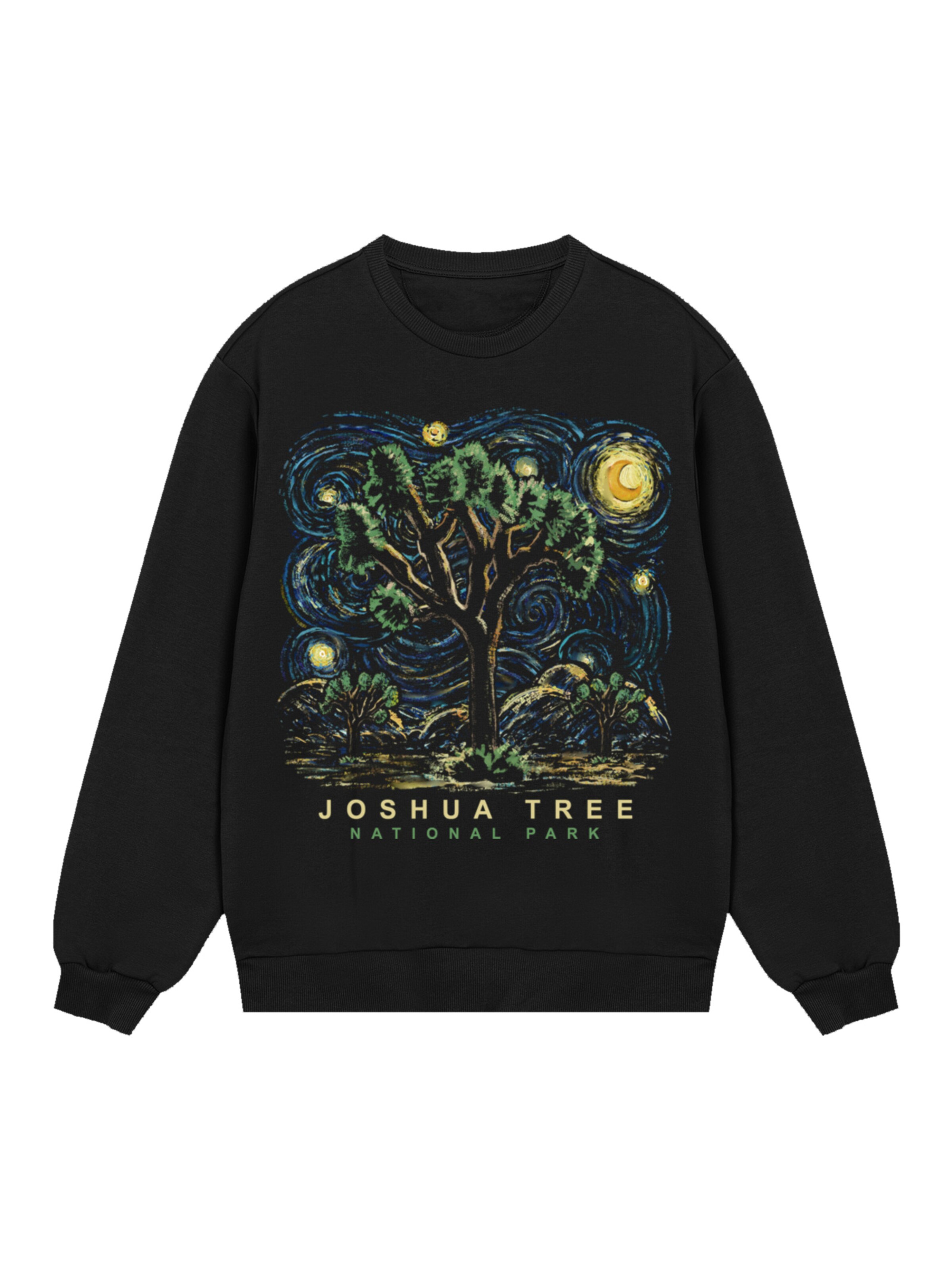 F4NT4STIC Sweatshirt 'US National Parks Joshua Tree Oil On Canvas Style' in Black: front
