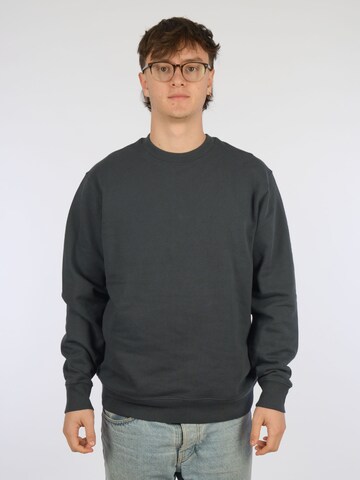glore Sweatshirt 'Raiiner' in Grey: front