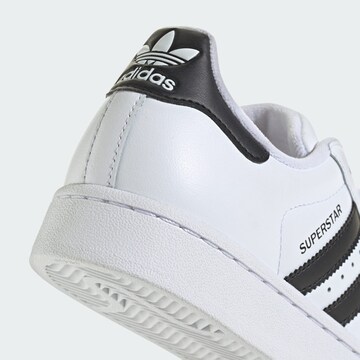 Baskets ' Superstar II' ADIDAS ORIGINALS en blanc