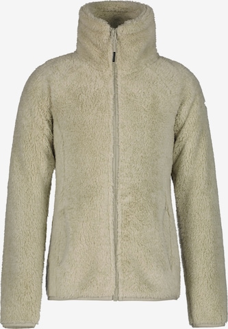 ICEPEAK Athletic Fleece Jacket in Grey: front