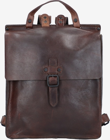 Harold's Backpack in Brown: front