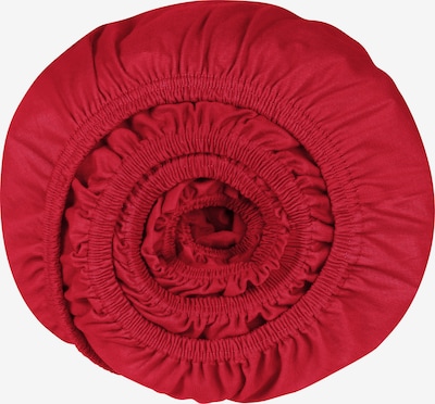 SCHIESSER Spannbettlaken 'Jessi' in rot, Produktansicht