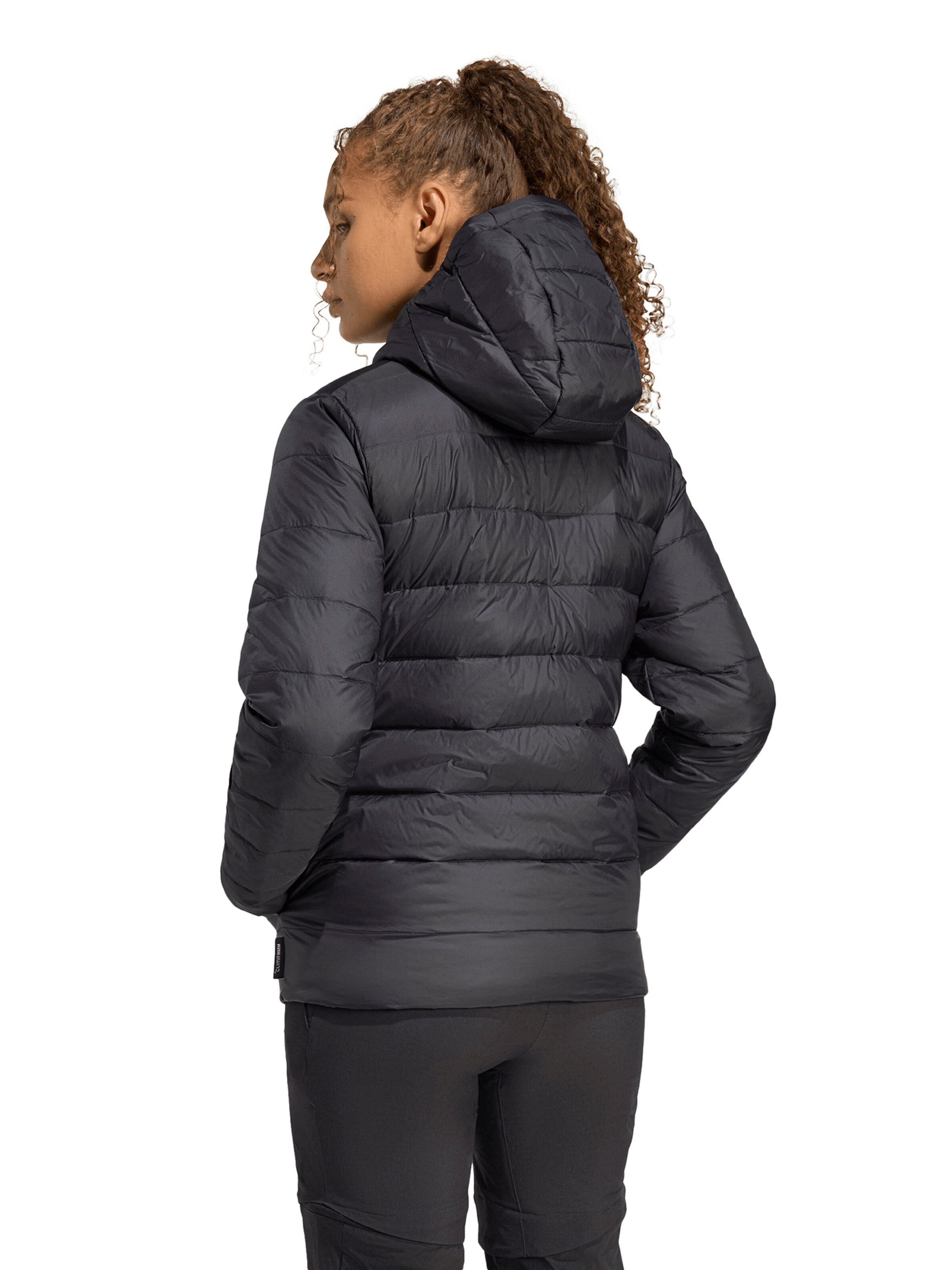 ADIDAS TERREX Outdoor jacket 'ESS' in Black