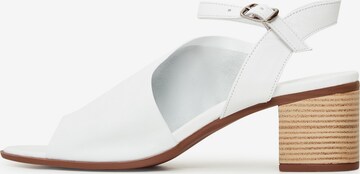 CESARE GASPARI Sandals in White: front