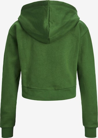 JJXX Zip-Up Hoodie 'Abbie' in Green