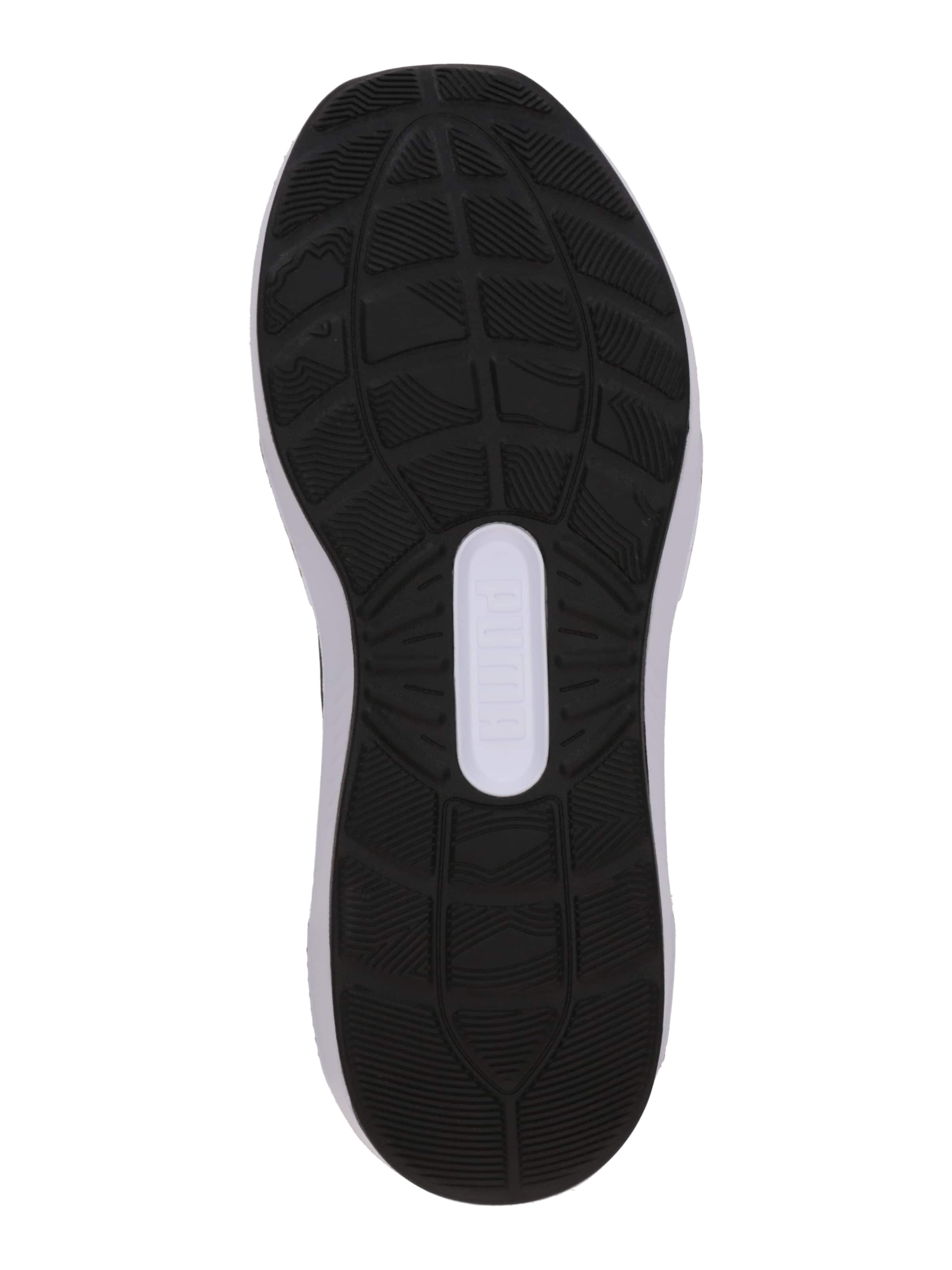 Chaussure de course 'Softride Enzo 5 Hype' PUMA en noir