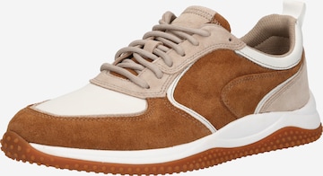 CLARKS Sneaker 'Puxton' in Brown: front