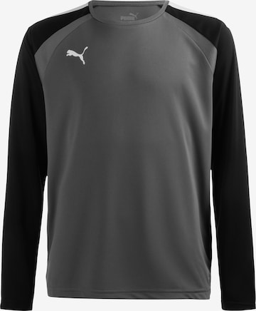 PUMA Performance Shirt 'Teampacer' in Grey: front