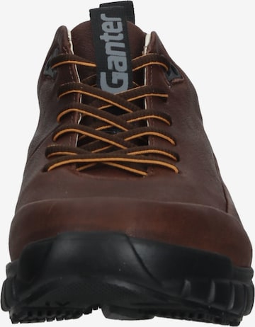 Ganter Sneakers in Brown