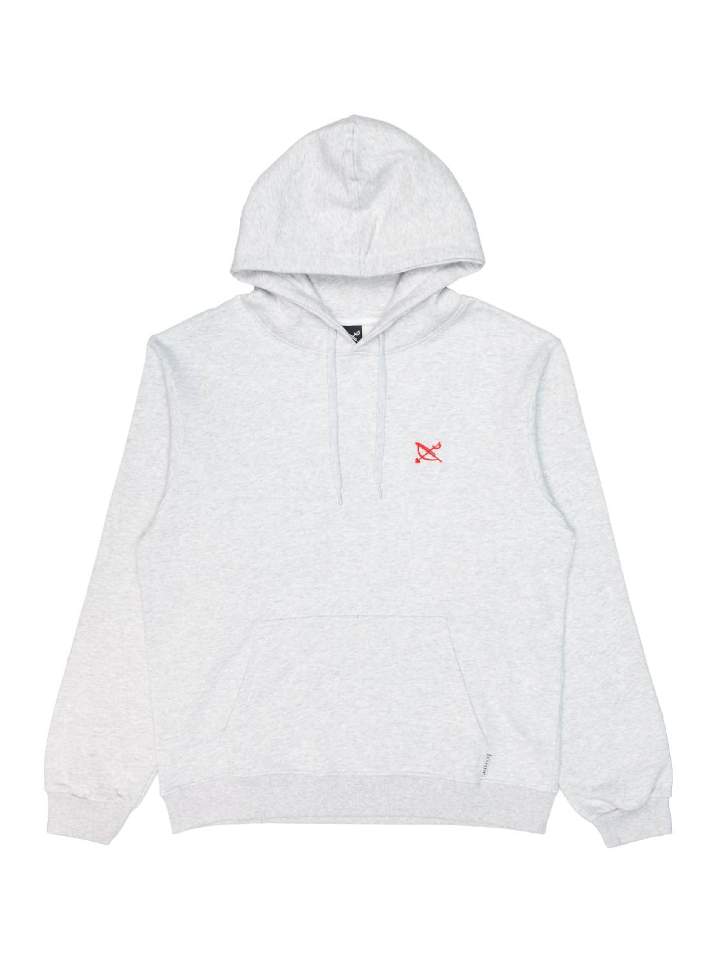 Iriedaily Sweatshirt‌‌‌‌ in Grau: Vorderseite