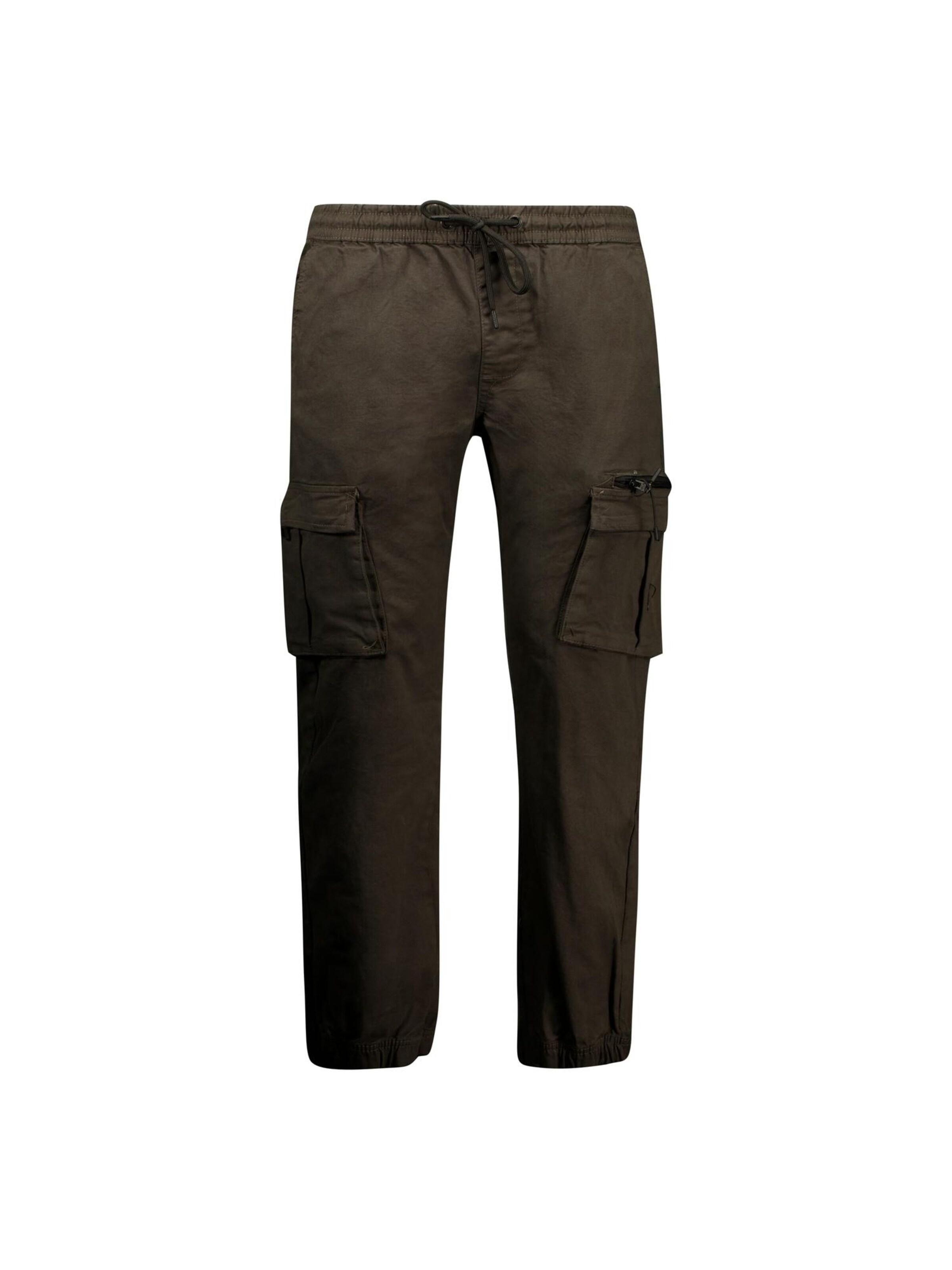 Pantalon cargo 'Monroe' Deeluxe en gris : devant