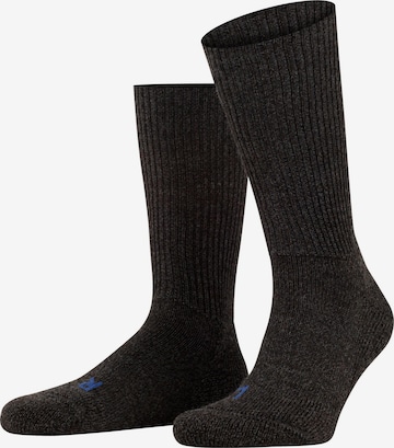 FALKE Socks 'Walkie Ergo' in Grey: front