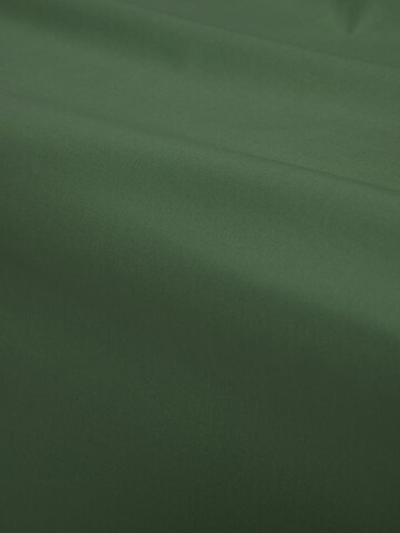 ESSENZA Bed Sheet 'Minte' in Green