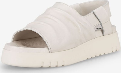 Sandalo 'Nancy D818' FELMINI di colore crema, Visualizzazione prodotti